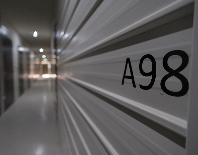 Looking through fence